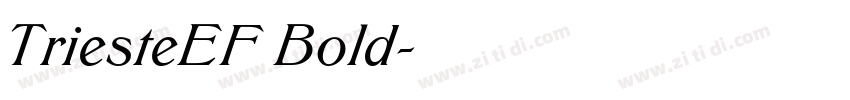 TriesteEF Bold字体转换